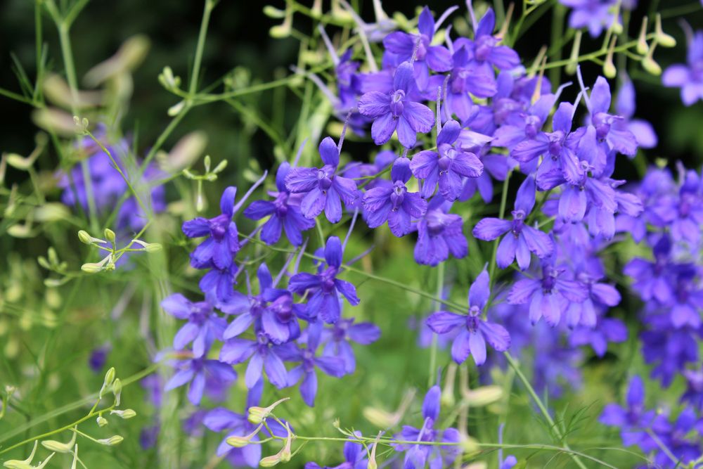 Photograph by Светлана Шубина