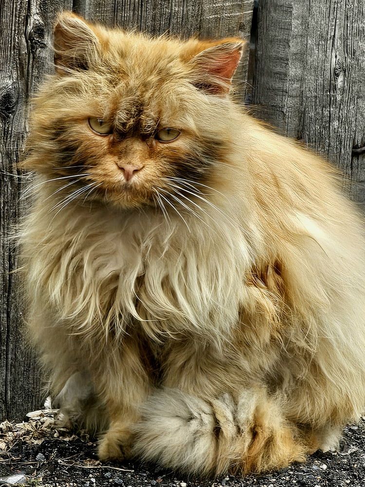 Photograph by Алексей Кикоть