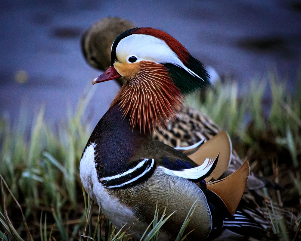 Photograph by Галина Кирикова