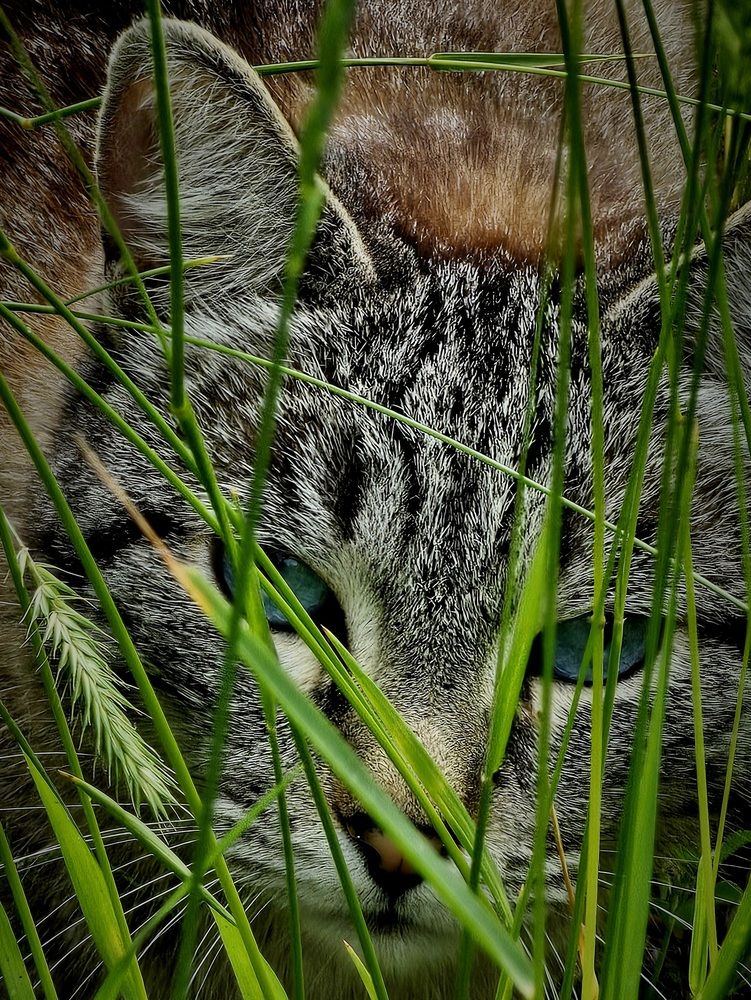 Photograph by Алексей Кикоть