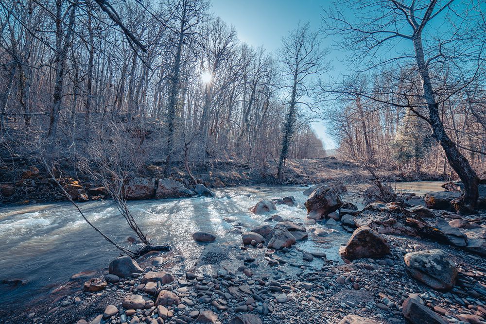 Фотография автора Вадим Коваленко