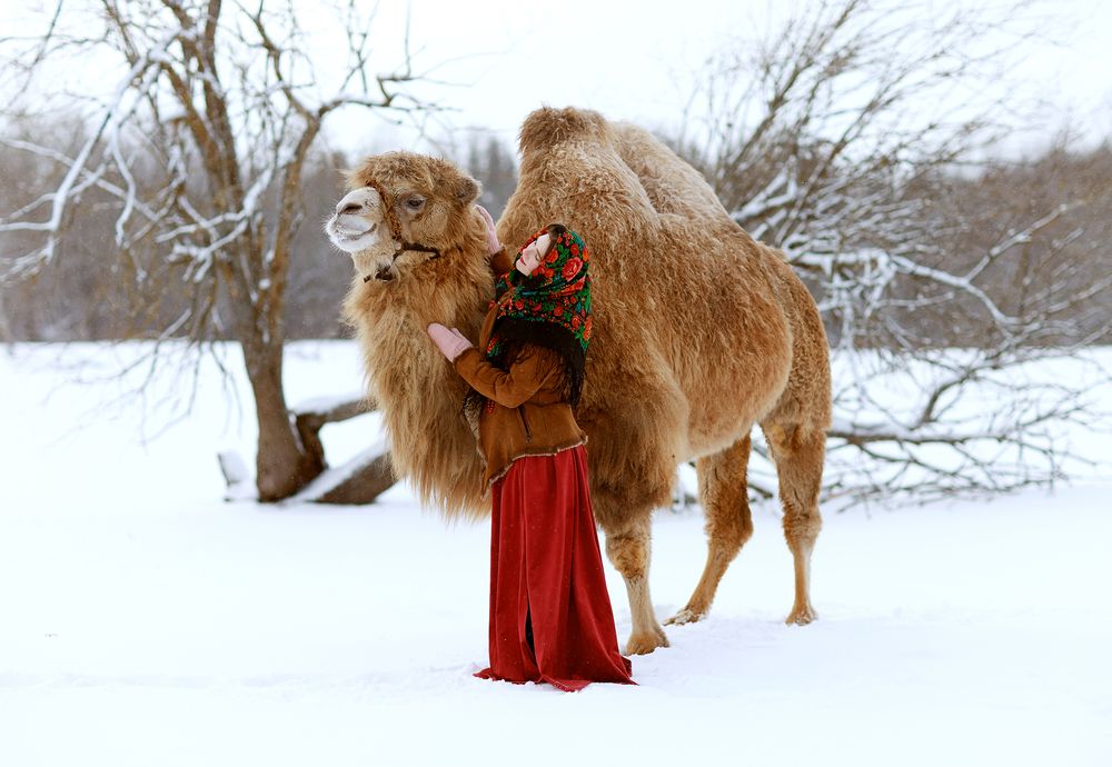 Photograph by Юлия Персинен