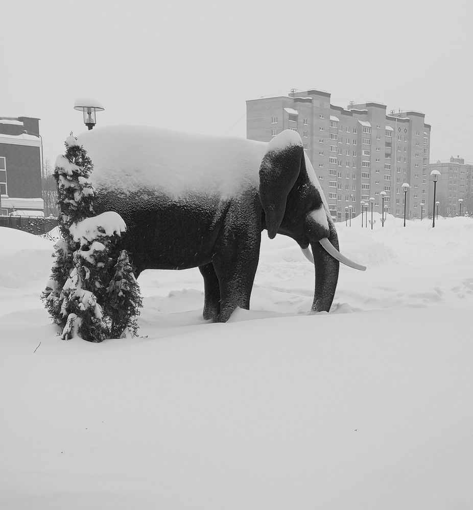 Photograph by Татьяна Кунц