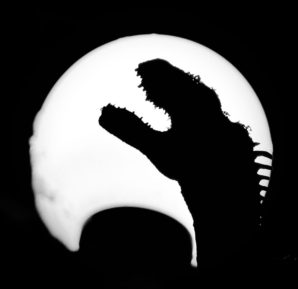 Photograph by Михаил Коган