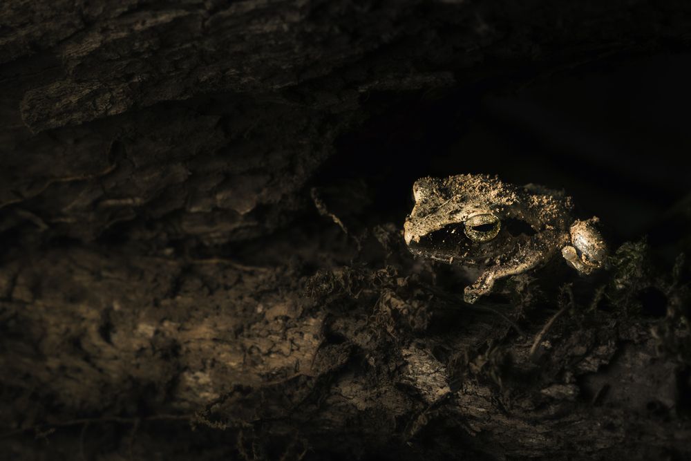 Photograph by Никита Филиппов