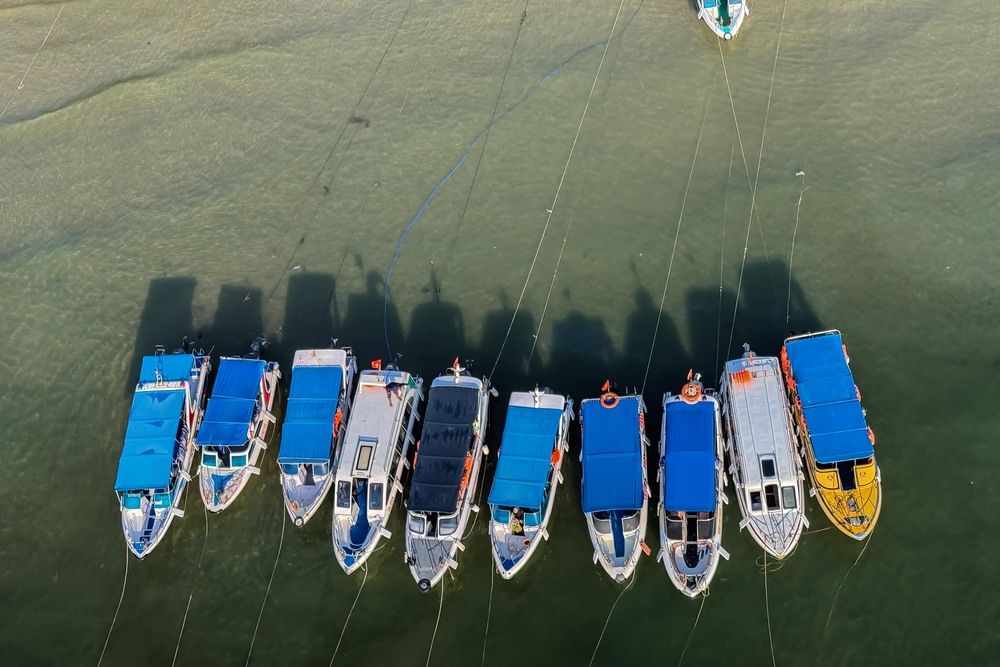 Фотография автора Татьяна