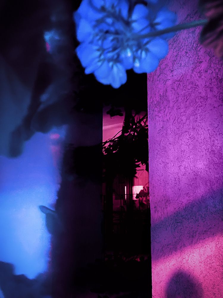 Photograph by Michael Voynov