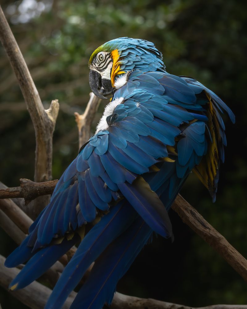 Photograph by KOHAGI