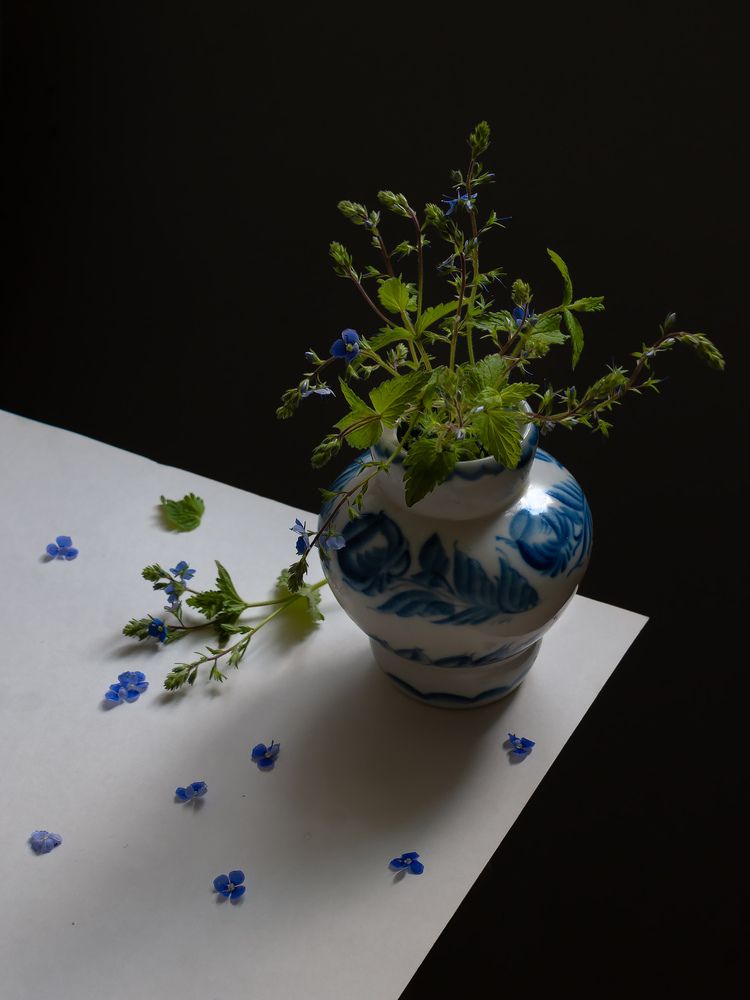 Букетик Вероники.