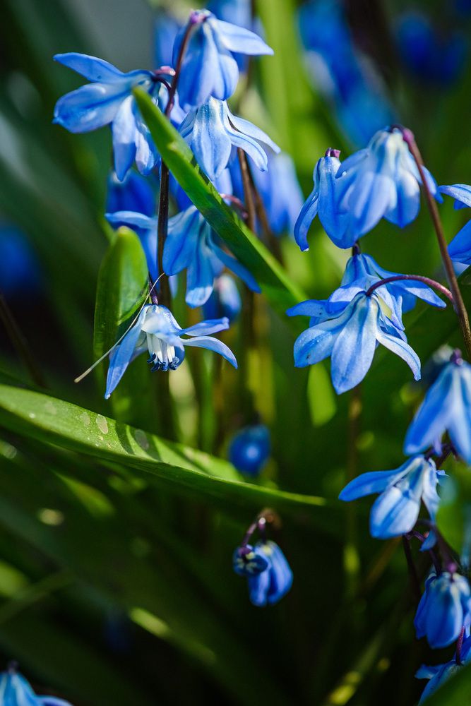 Фотография автора Dmitriy Sotnikov