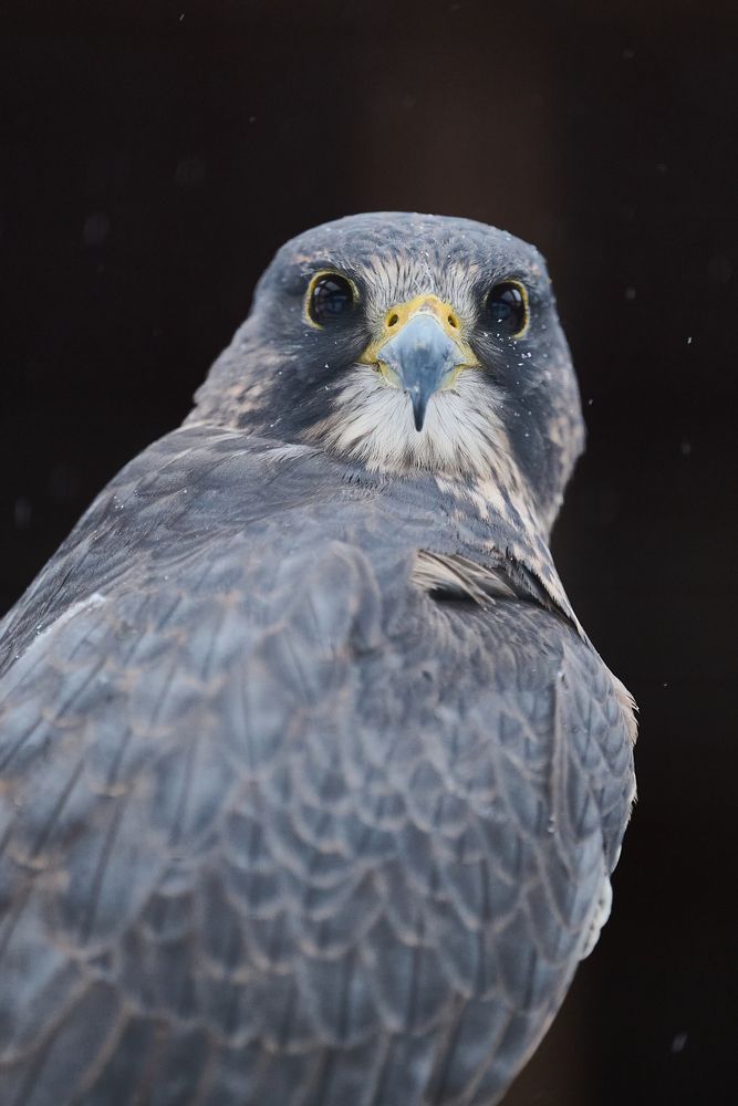 Photograph by Александр