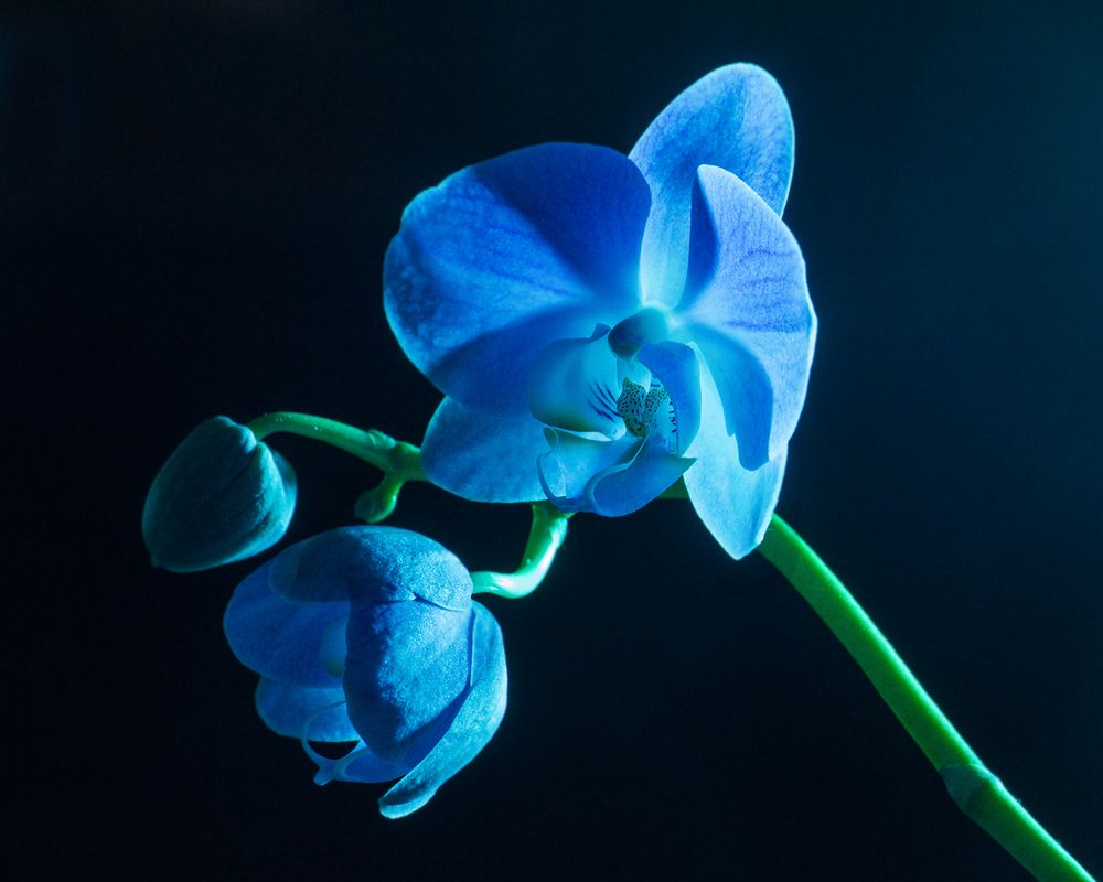 Фотография автора Борис Журавлёв