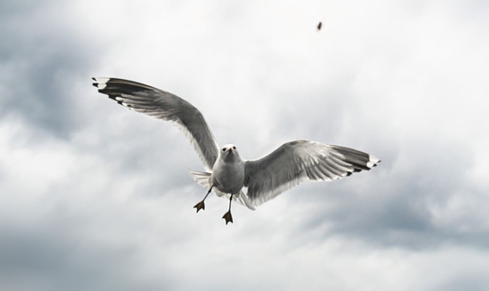 Photograph by Алла Андреева