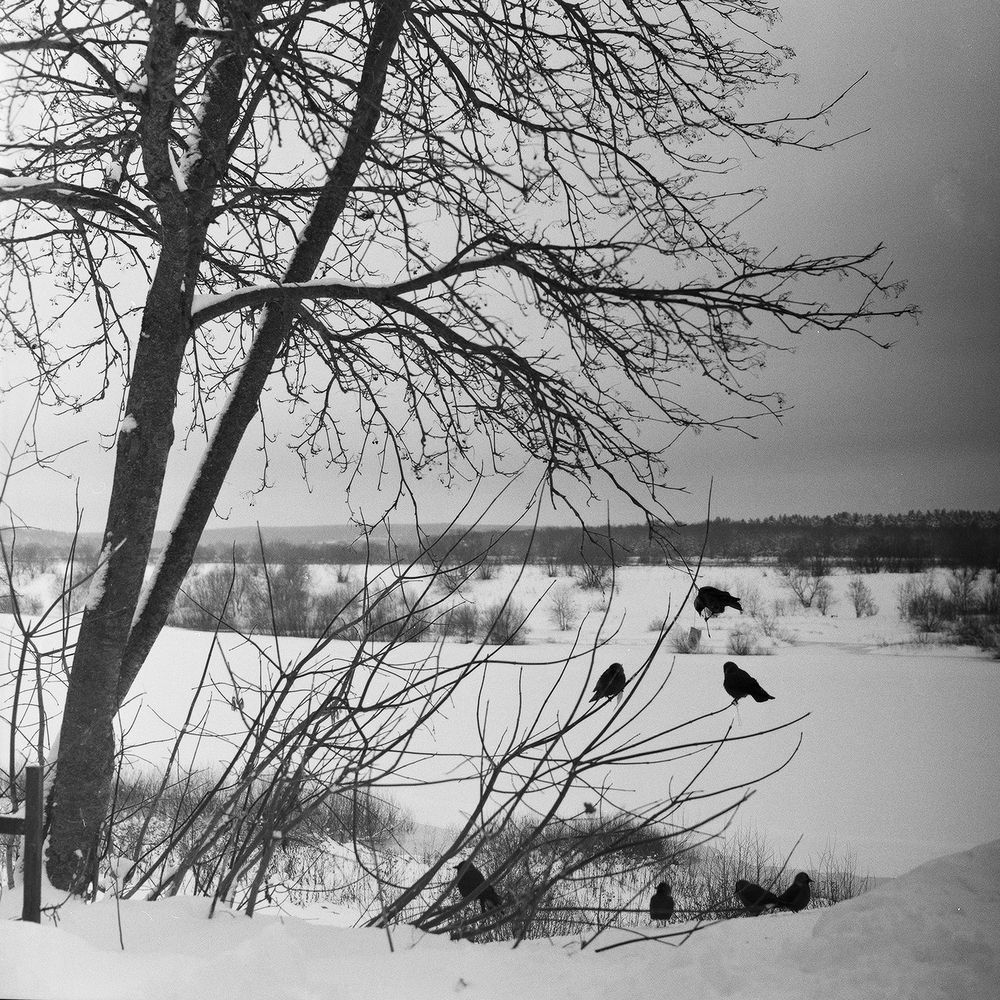 Photograph by Оксана Егорова