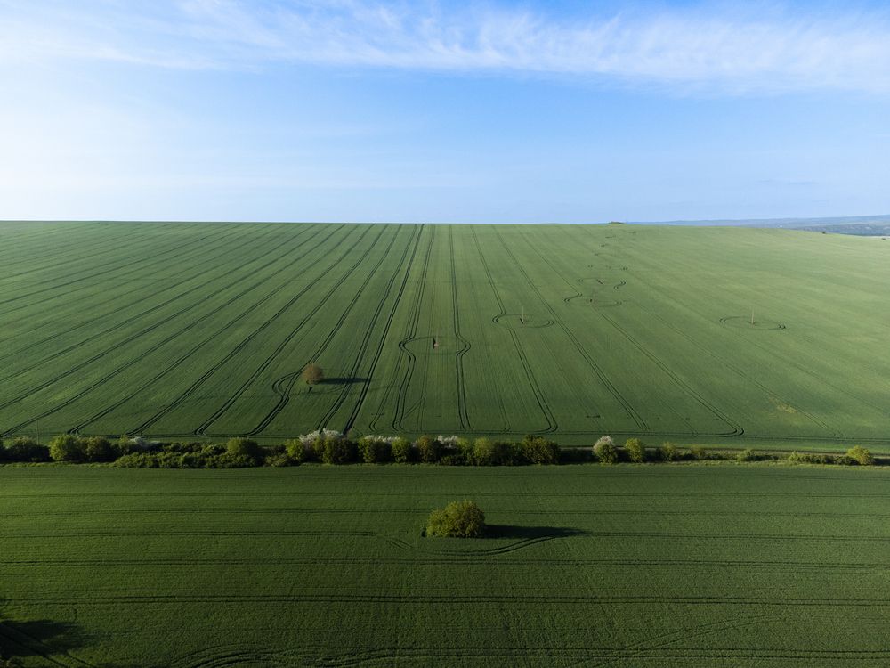 Фотография автора Lyuboslav Bochev