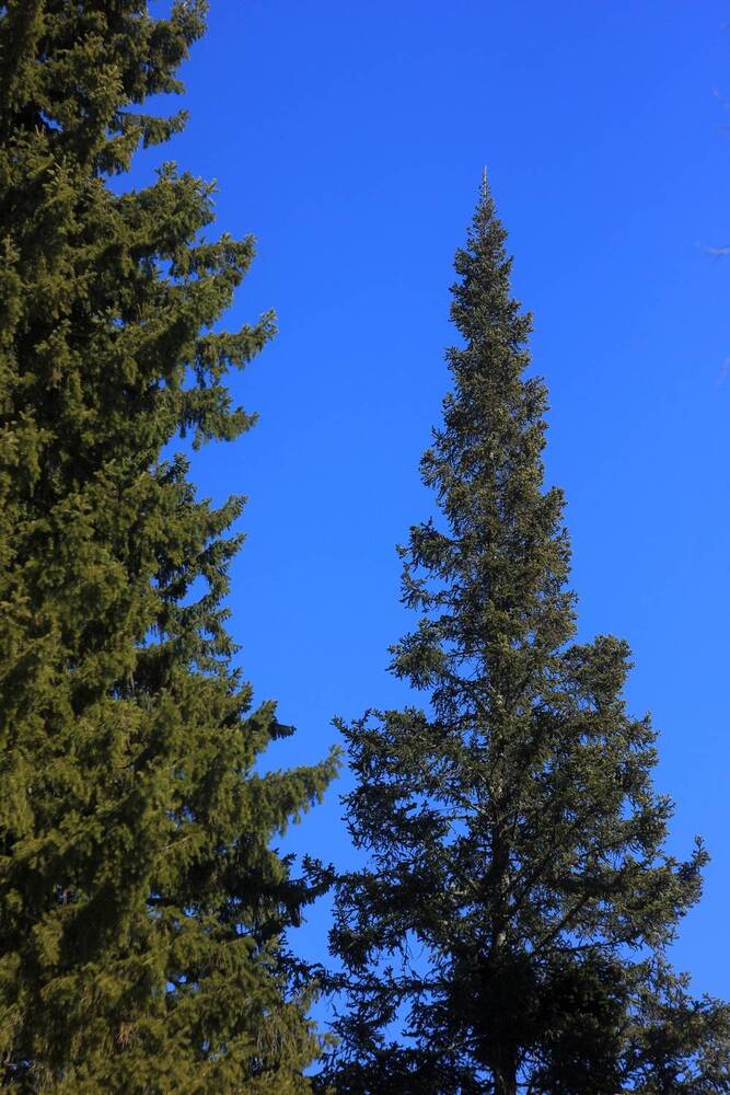 Photograph by Дмитрий Васючков