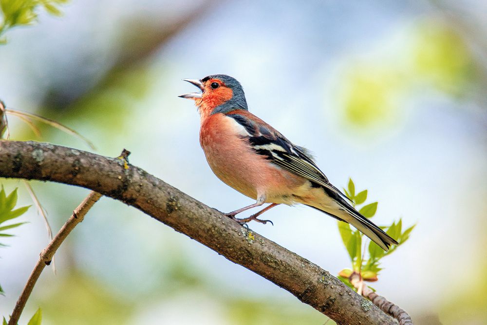 Photograph by Белевитин Михаил