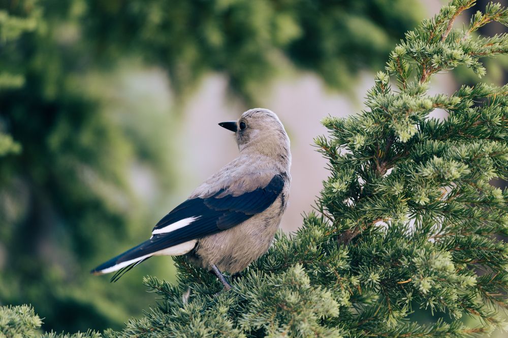 Photograph by Anna Cherkasova