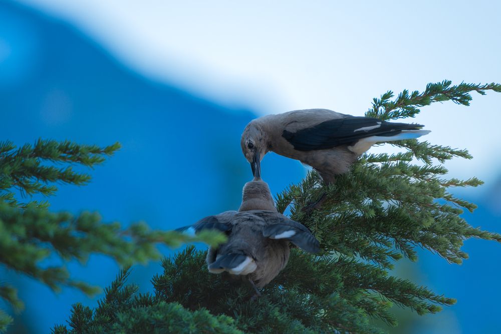 Photograph by Anna Cherkasova