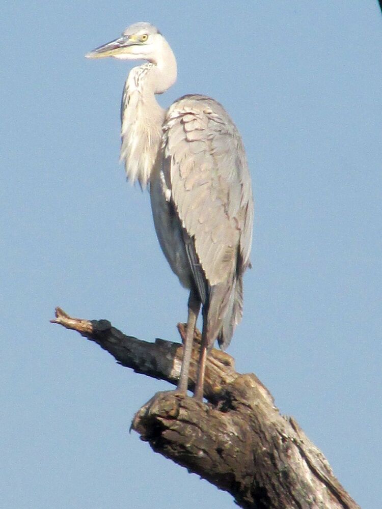 Photograph by Sougata Bhar
