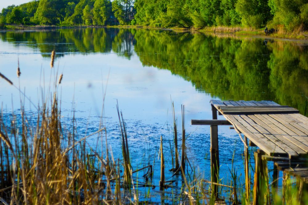 Photograph by Алексей Морозов