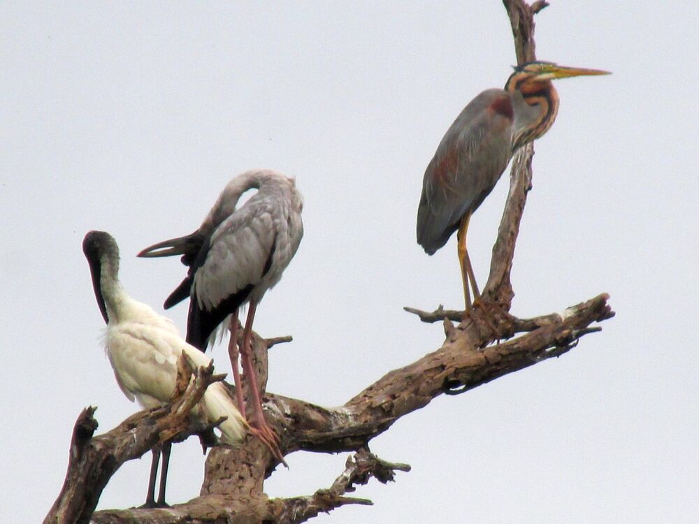 Photograph by Sougata Bhar