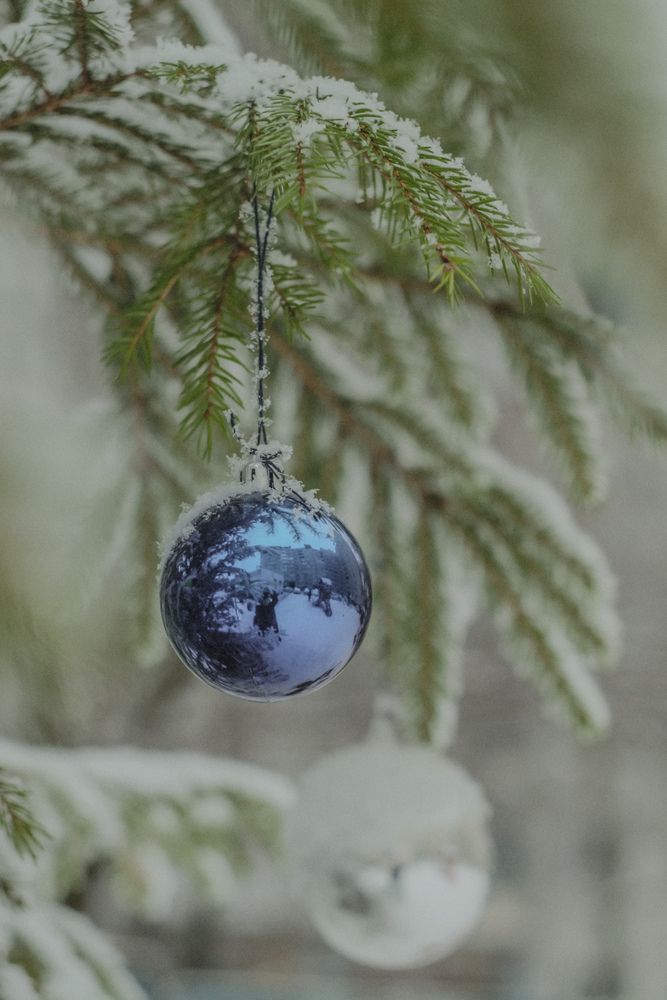 Photograph by Елена Квасова