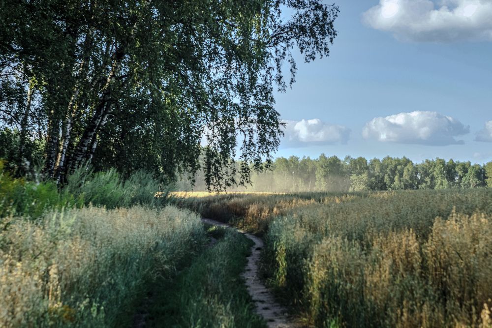 Photograph by Елена Квасова