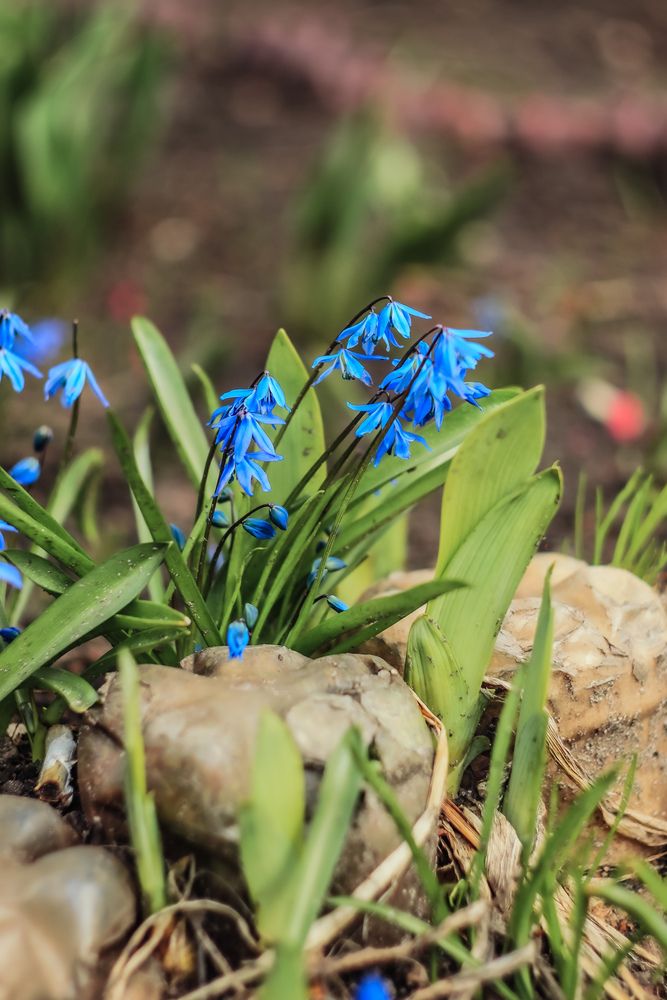 Photograph by Елена Квасова