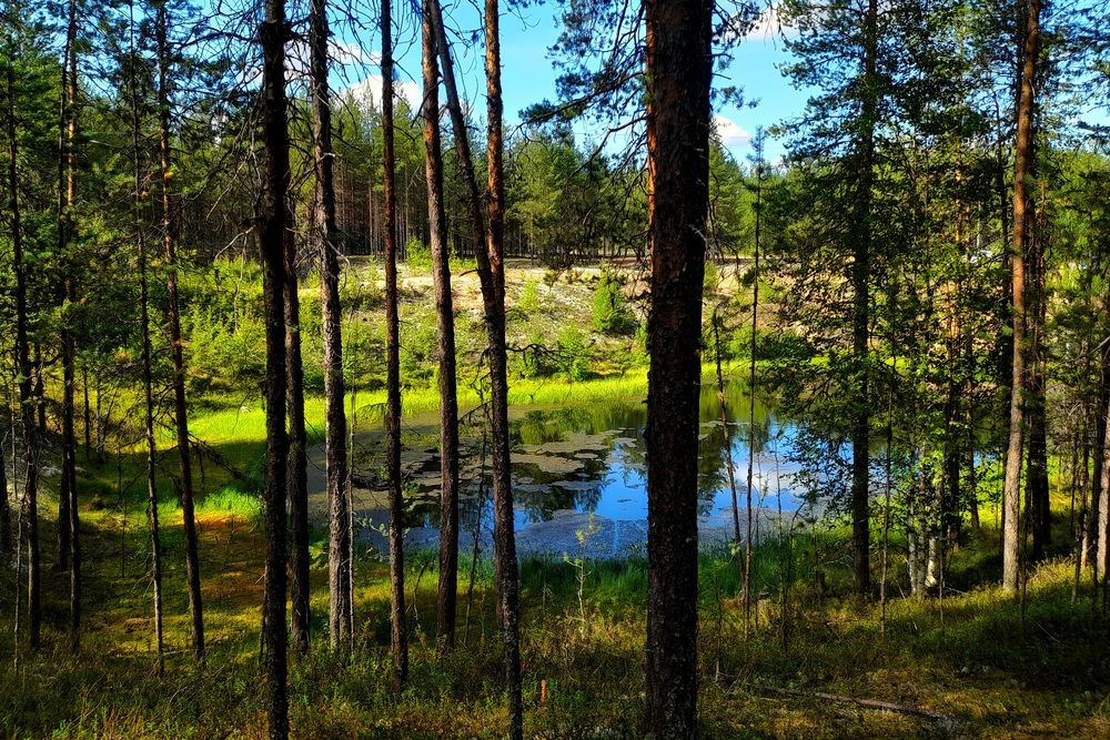 Photograph by Ольга Березовская