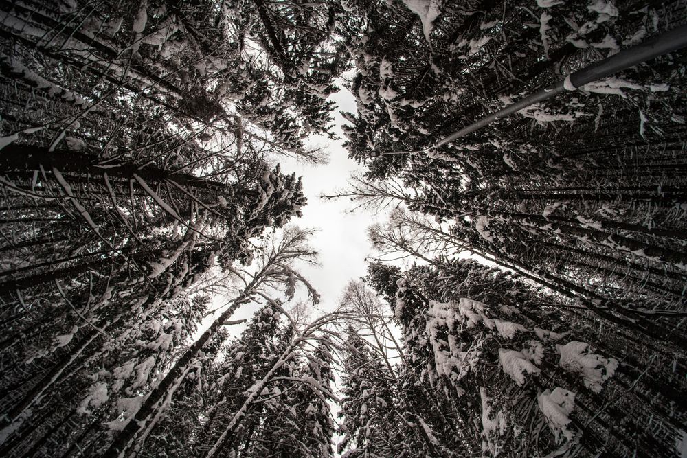 Photograph by Антон Киптиков