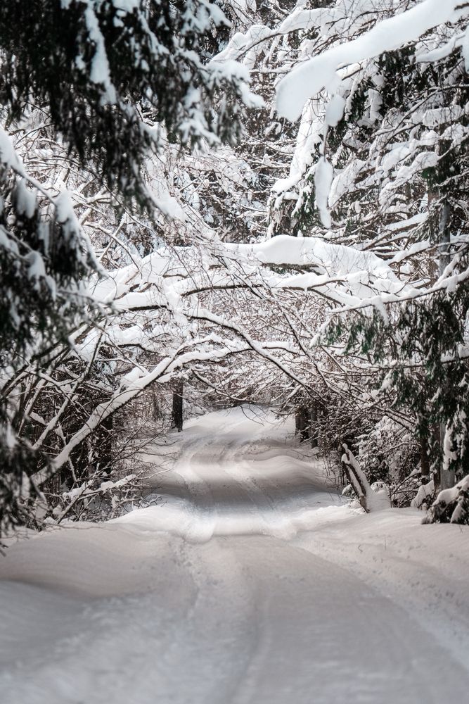 Photograph by Антон Киптиков