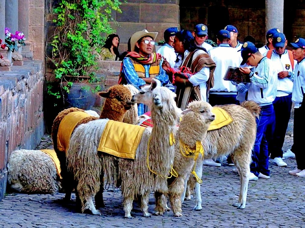 Photograph by Maria Isabel Moreira