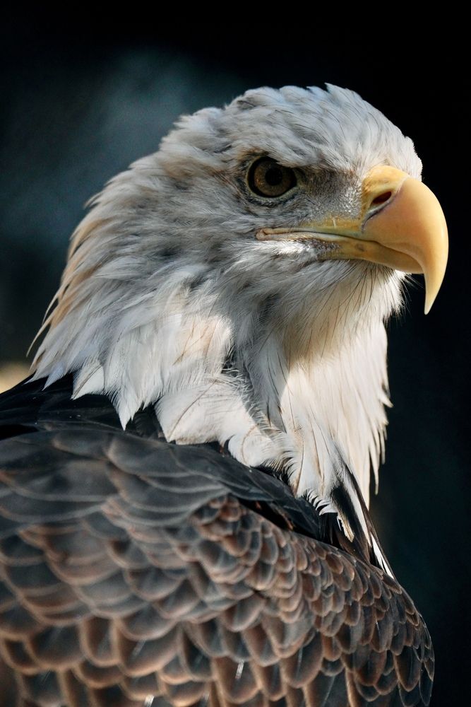 Photograph by Yuli Lerou