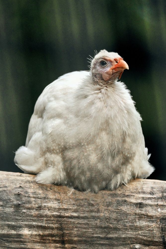 Photograph by Yuli Lerou