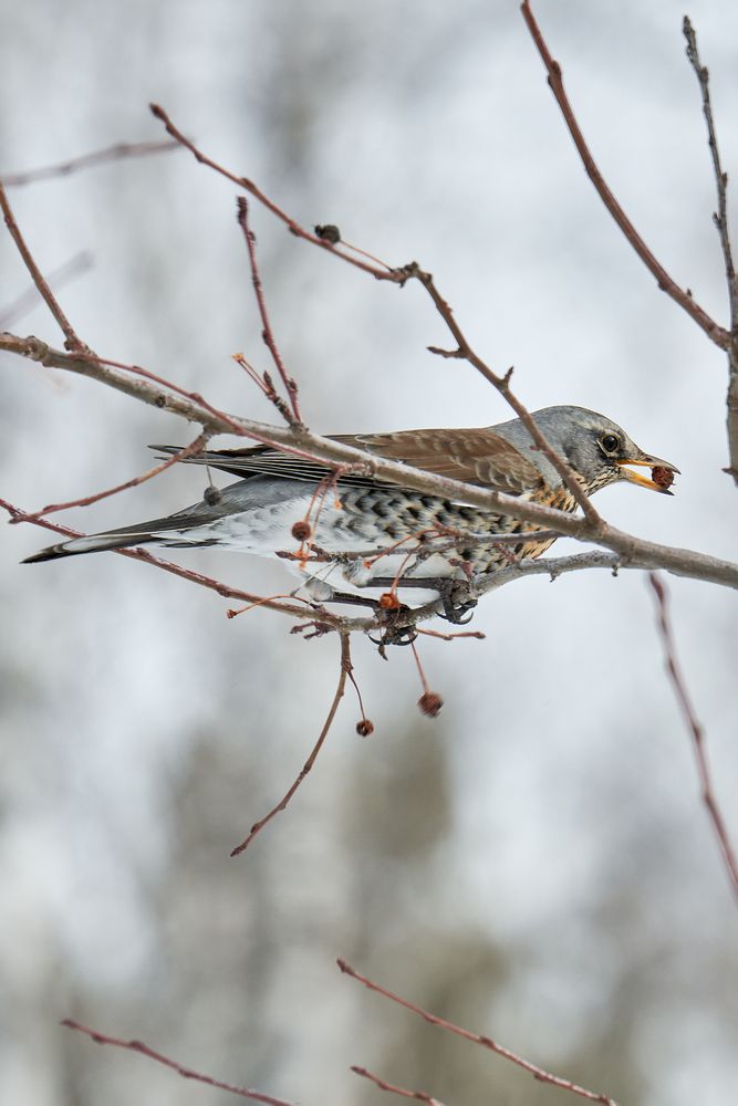 Photograph by Yuli Lerou
