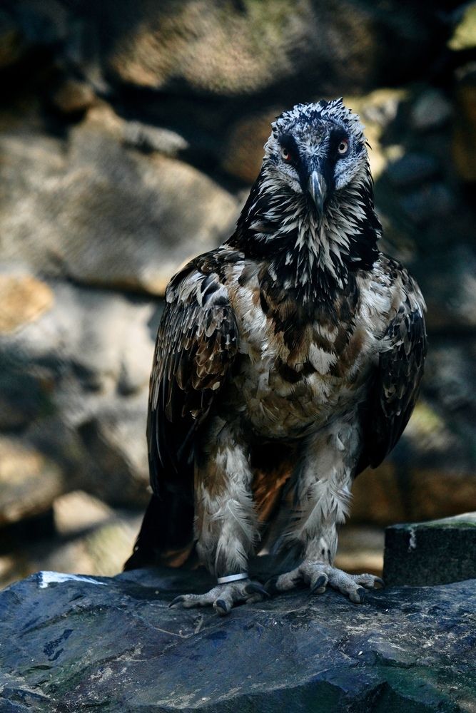 Photograph by Yuli Lerou