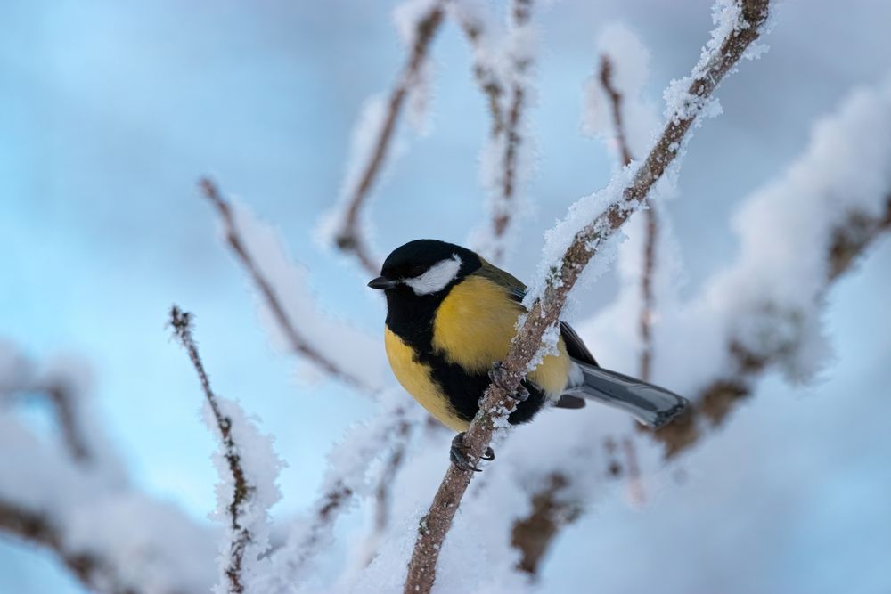 Photograph by Вячеслав Коканов