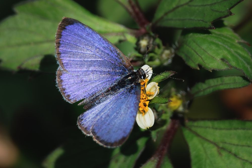 Photograph by KOHAGI