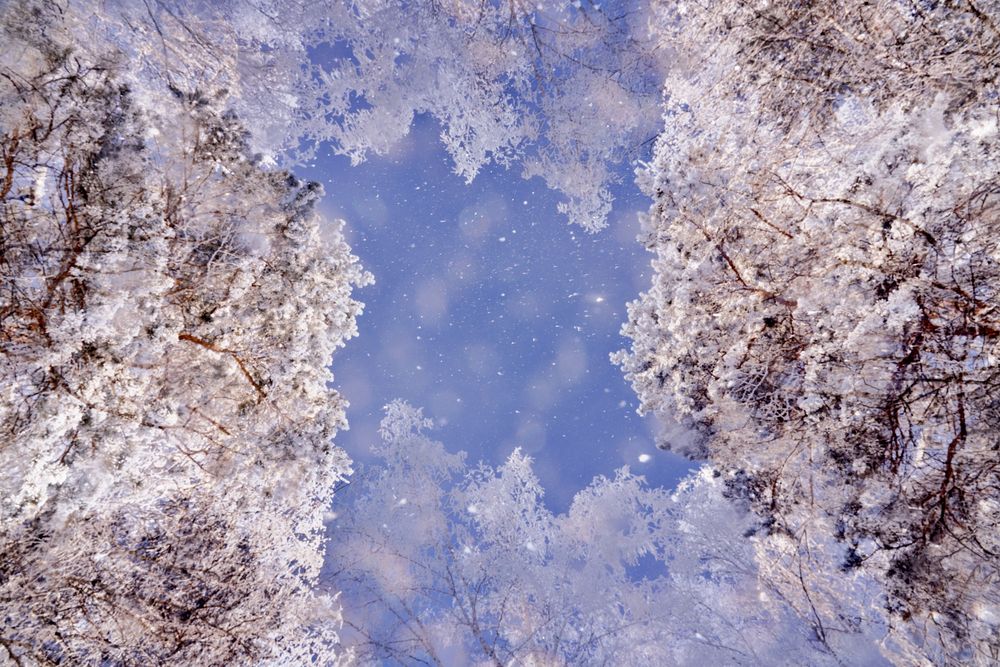 Photograph by Yuli Lerou