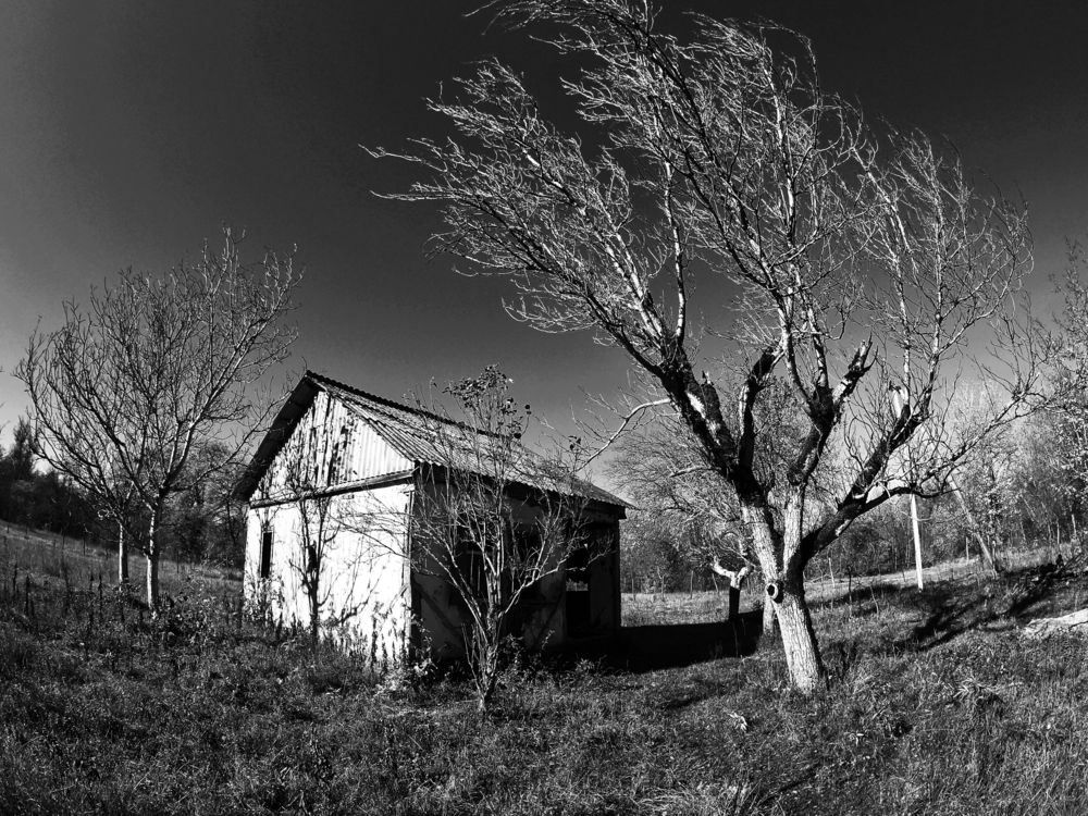 Photograph by Владимир