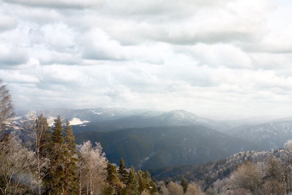 Photograph by Yuli Lerou