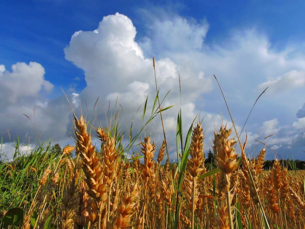 Photograph by Jevgeni Filimonov