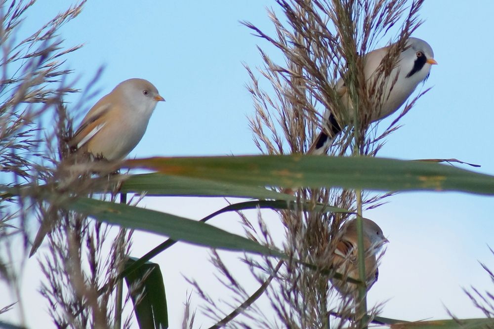 Photograph by Jevgeni Filimonov