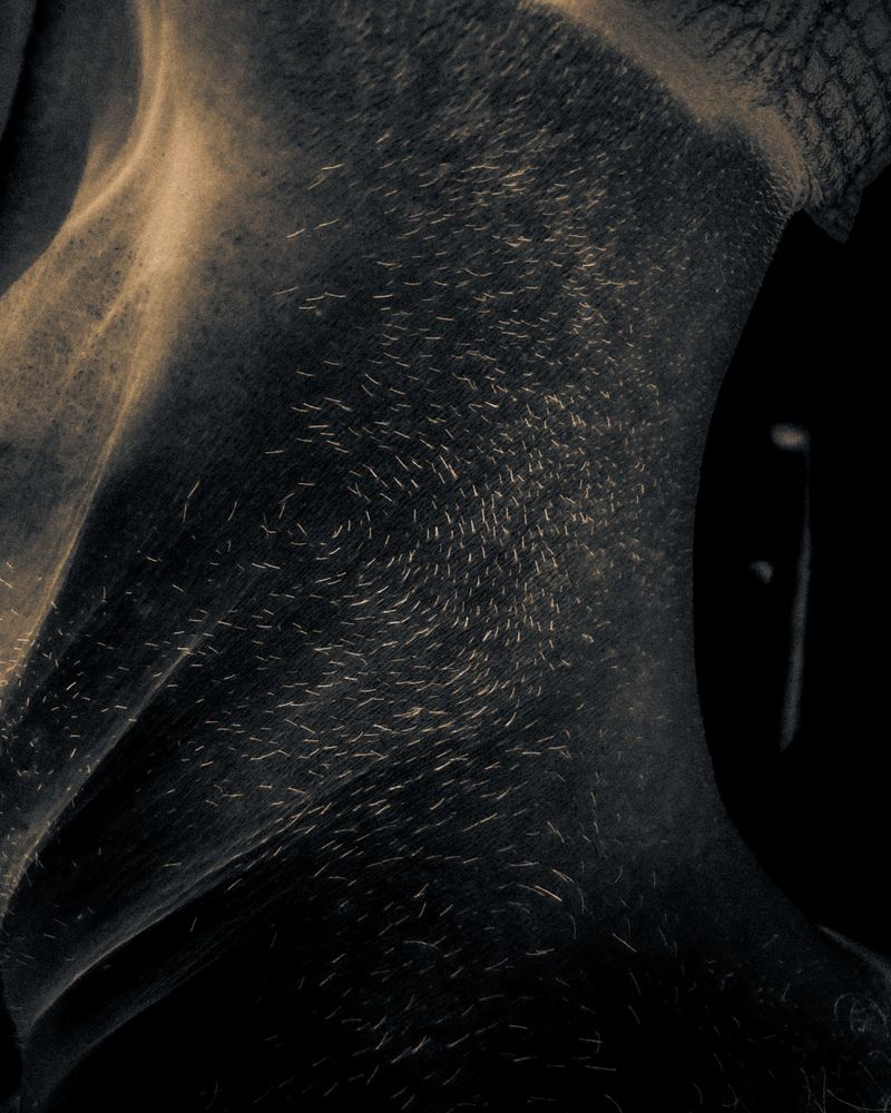 Photograph by Taha heydari