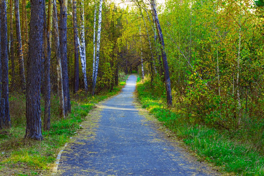 Photograph by Алексей Морозов