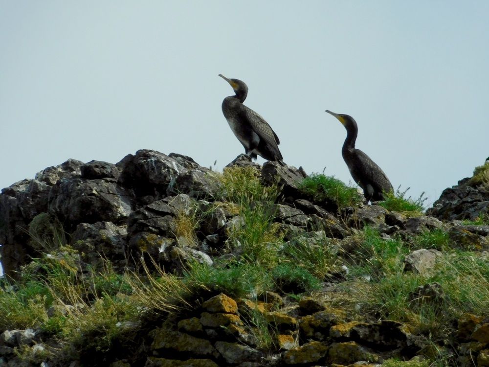 Photograph by Наталья Волкова