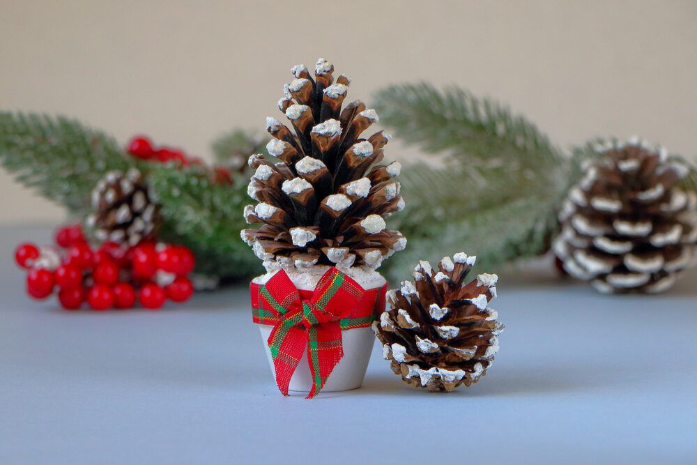 Photograph by Светлана Долотова