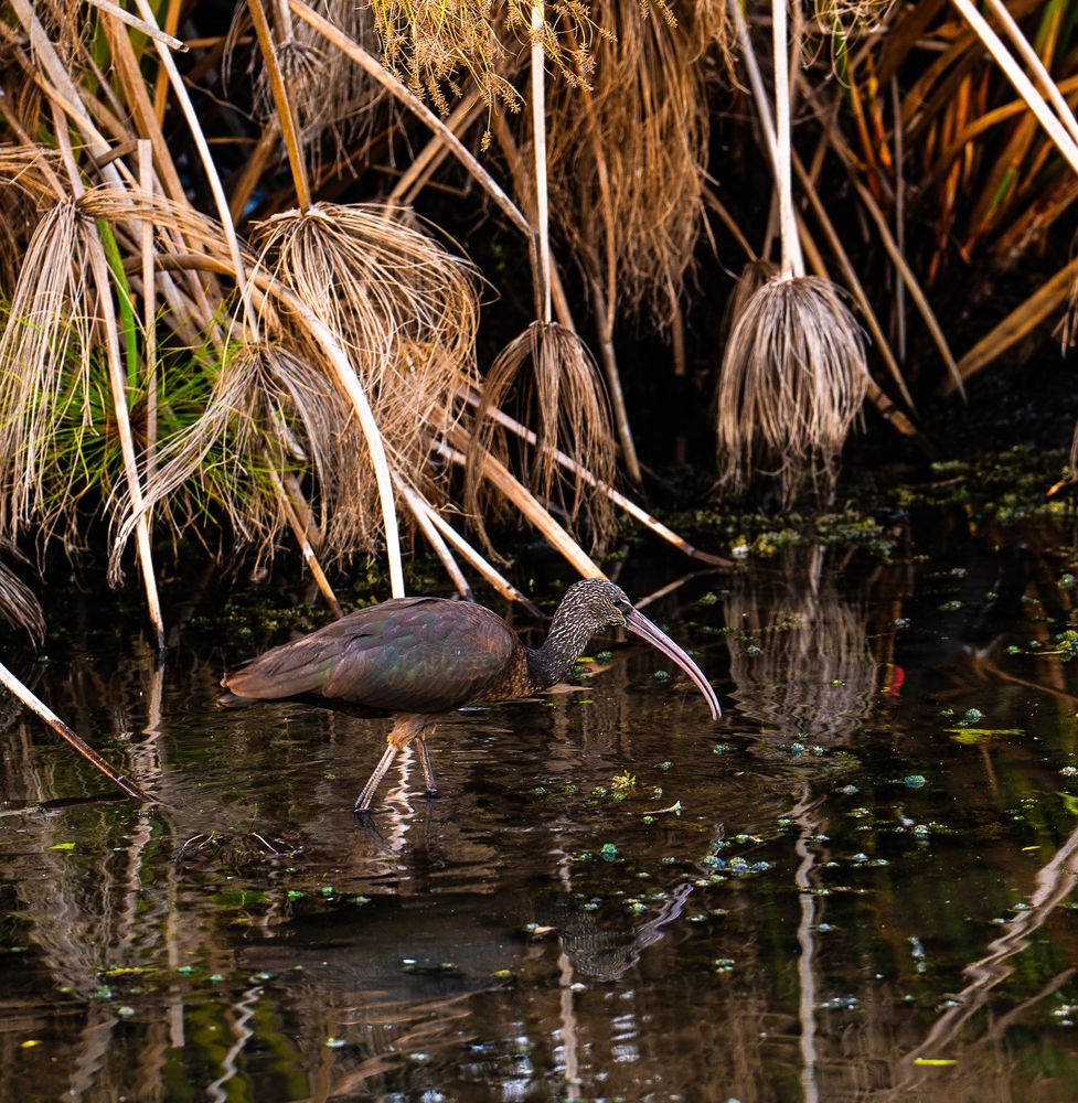Photograph by Igor Shulkin