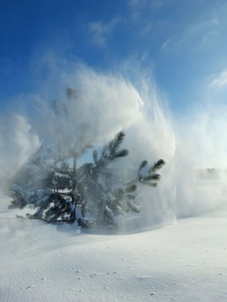 Фотография автора Elvira Oleinik